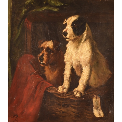 230 - John Ley Pethybridge (British, 1865-1905)'Sent on Approval', a study of two dogs sitting in a basket... 