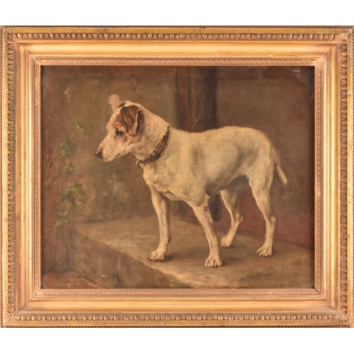 233 - 19th century English Schoola study of a Jack Russell dog awaiting his owners return, on a doorstep. ... 