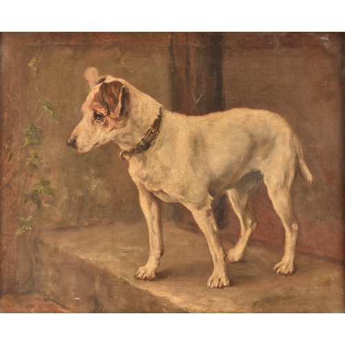 233 - 19th century English Schoola study of a Jack Russell dog awaiting his owners return, on a doorstep. ... 