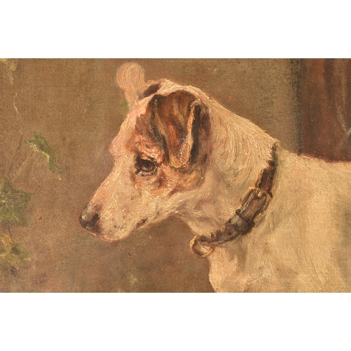 233 - 19th century English Schoola study of a Jack Russell dog awaiting his owners return, on a doorstep. ... 