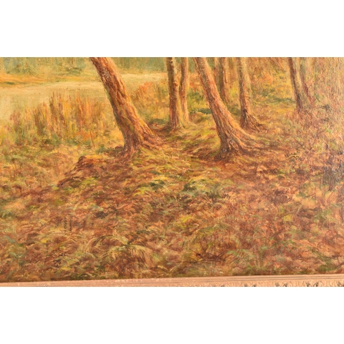 286 - W Harris (19th / early 20th century)Wood & Stream, a woodlands scene by a river, a building in t... 