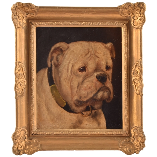 242 - A group of three dog paintingsincluding a painting of a Bulldog, oil on panel, 21.5 x 18 cm; a paint... 