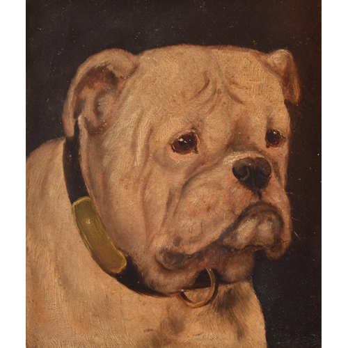 242 - A group of three dog paintingsincluding a painting of a Bulldog, oil on panel, 21.5 x 18 cm; a paint... 