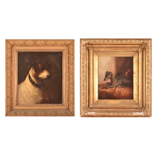 243 - A group of two dog paintingsincluding a portrait of a Jack Russell, oil on canvas, 34 x 29 cm; and a... 