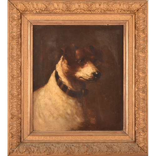 243 - A group of two dog paintingsincluding a portrait of a Jack Russell, oil on canvas, 34 x 29 cm; and a... 