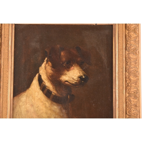 243 - A group of two dog paintingsincluding a portrait of a Jack Russell, oil on canvas, 34 x 29 cm; and a... 