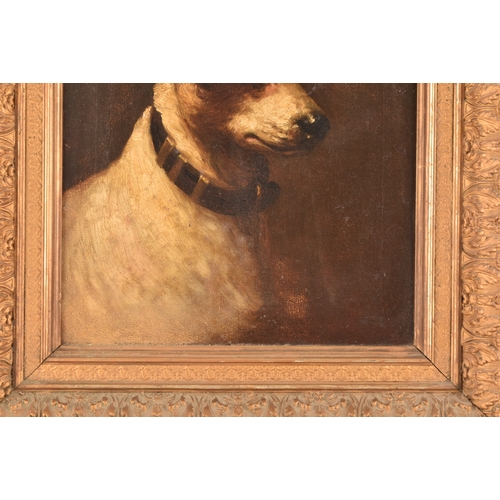 243 - A group of two dog paintingsincluding a portrait of a Jack Russell, oil on canvas, 34 x 29 cm; and a... 