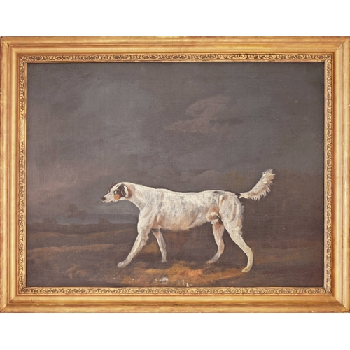 244 - 19th Century English Schoola portrait of a sporting dog in a landscape, oil on canvas, relined, appe... 