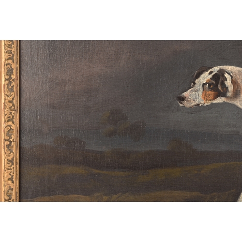 244 - 19th Century English Schoola portrait of a sporting dog in a landscape, oil on canvas, relined, appe... 