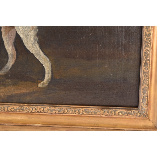 244 - 19th Century English Schoola portrait of a sporting dog in a landscape, oil on canvas, relined, appe... 