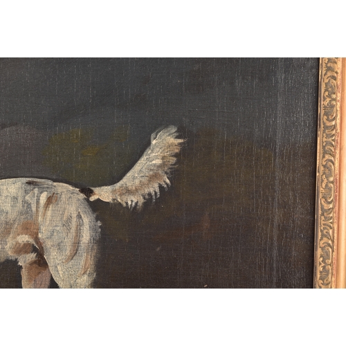 244 - 19th Century English Schoola portrait of a sporting dog in a landscape, oil on canvas, relined, appe... 