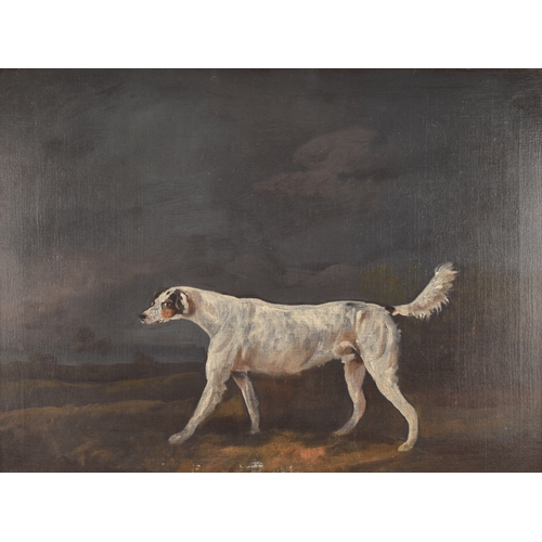 244 - 19th Century English Schoola portrait of a sporting dog in a landscape, oil on canvas, relined, appe... 