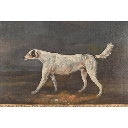 244 - 19th Century English Schoola portrait of a sporting dog in a landscape, oil on canvas, relined, appe... 