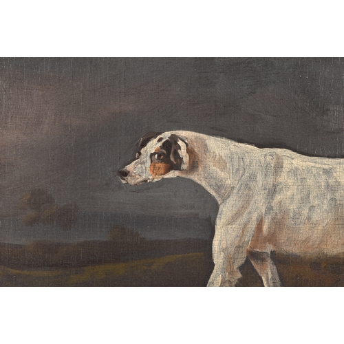 244 - 19th Century English Schoola portrait of a sporting dog in a landscape, oil on canvas, relined, appe... 