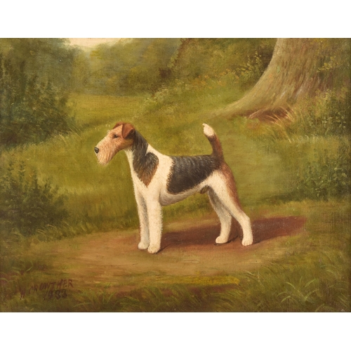 263 - Henry Crowther (British c. 1905-1939)A pair of portraits of Wire Fox Terrier dogs, in landscapes, ea... 