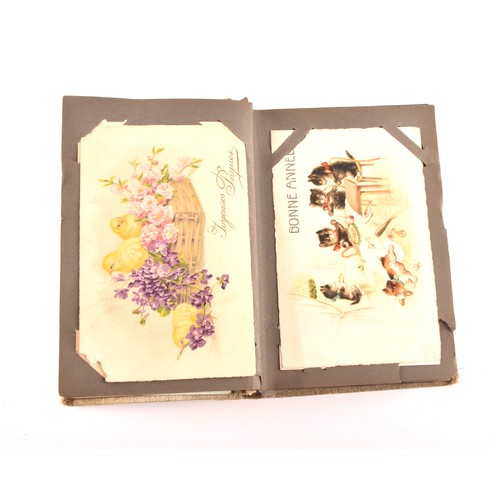 312 - Postcards. Two early 20th century postcard albums, with postcards of a variety of topics including i... 