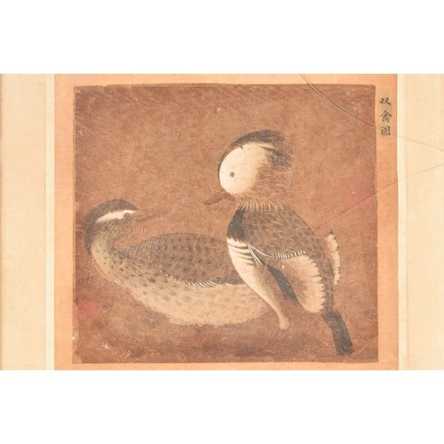 40 - A late 19th / early 20th century Chinese painting of two ducks, '双禽图' ('Two Birds'), on paper, with ... 