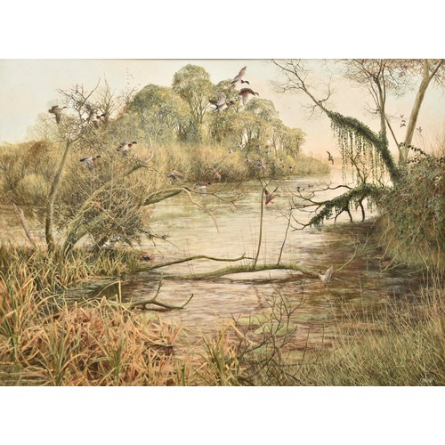 235 - Ken Turner (British)'Mallards and Teal', a peaceful river scene with ducks, oil on board, signed low... 