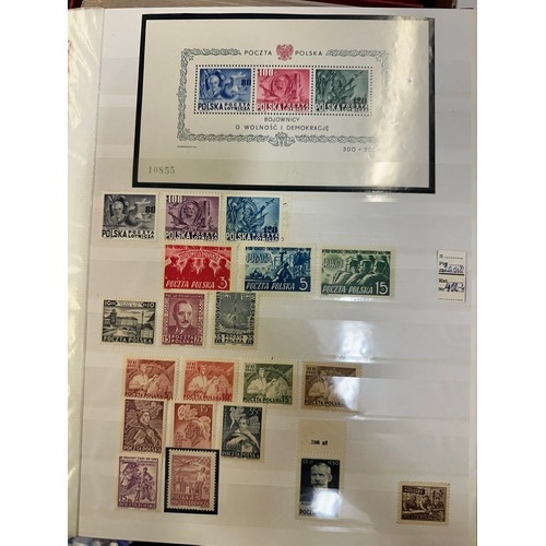 262 - Stamps. Polish Polska. A quantity of stamps albums, mostly well presented and unmounted in albums in... 