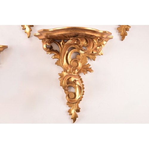 253 - A group of eight carved gilt sconces, largest measuring 22.5 cm height x 20 cm width, six sconces me... 