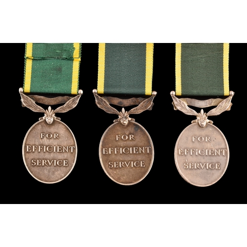 436 - The Territorial Efficiency Medal, For Efficient Service, three to: 1. 3445395 Fusilier J. G. Blagden... 