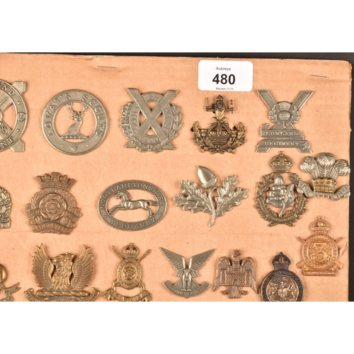 480 - A collection of military cap badges, including Highland Regiment, Lovat's Scouts, Scottish Horse Reg... 