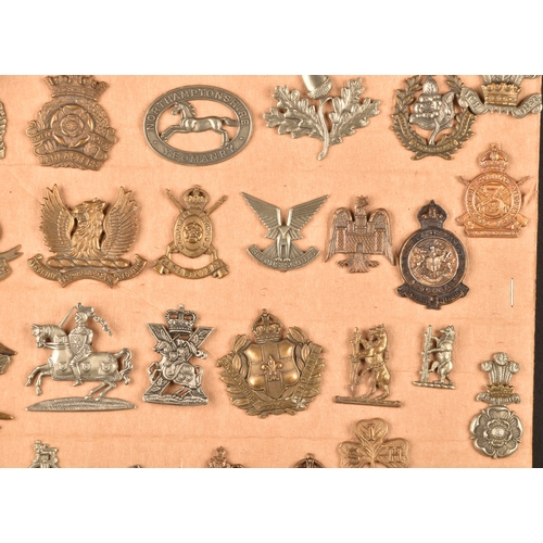 480 - A collection of military cap badges, including Highland Regiment, Lovat's Scouts, Scottish Horse Reg... 