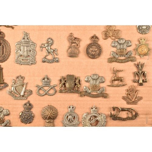 480 - A collection of military cap badges, including Highland Regiment, Lovat's Scouts, Scottish Horse Reg... 