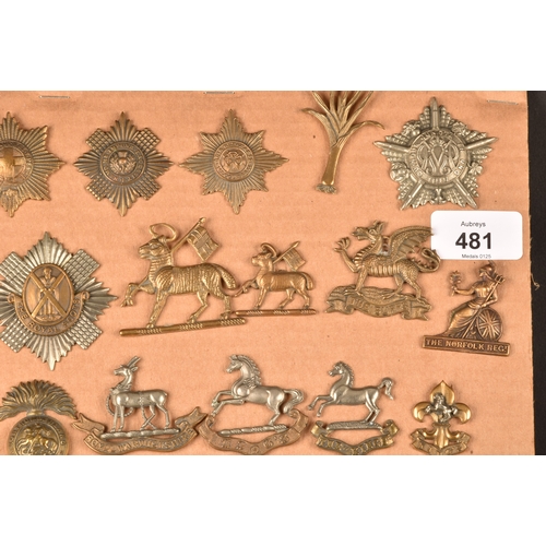 481 - A collection of military cap badges, including The Royal Scots Regiment, The Buffs, The Norfolk Regi... 