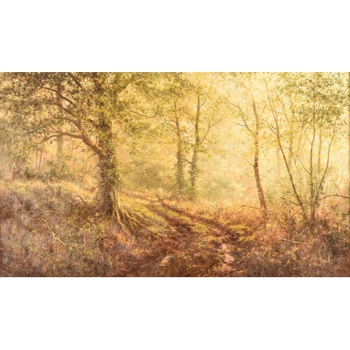 41 - David Dipnall (British, 1941-2023) Depicting a British woodland path on a Summer's afternoon, the da... 