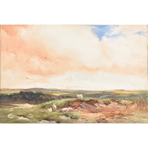 225 - Wycliffe Egginton (British, 1875-1951)A landscape of sheep grazing on open moorland beneath a wide, ... 