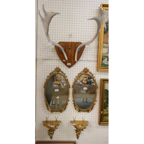 149 - A mounted pair of antlers together with a pair of gilt wall mirrors and wall shelves (5).