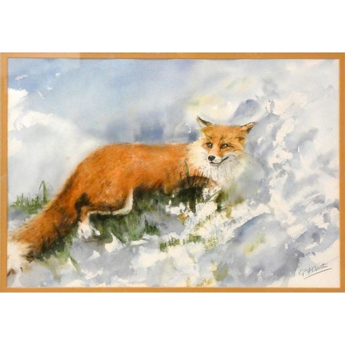 156 - 'Fox in Snow' framed watercolour signed G.F. Overton, 69 x 55cm, 'Sailing Boats in Full Flow', gilt ... 