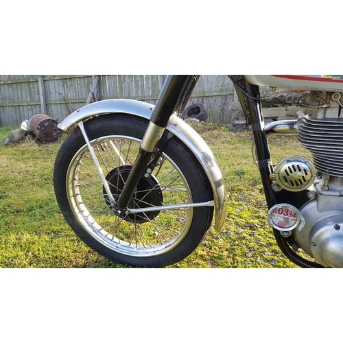 1083 - 1953 BSA Gold Star, 347 cc. Registration number BSJ 237 (non-transferable). Frame number BB32 2480. ... 