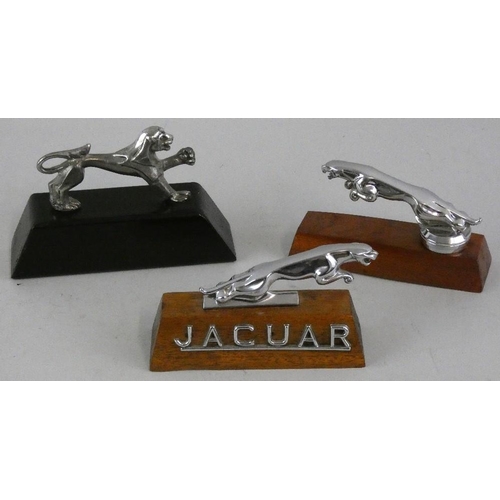 67 - Two chrome Jaguar leaping cat car bonnet mascot, together with a Peugeot cat mascot all mounted on p... 