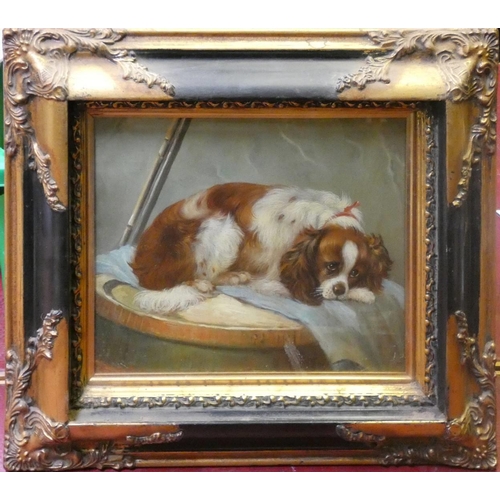 343 - 19th century school, King Charles spaniel, indistinctly signed, oil on canvas, 23 x 28 cm, gilt and ... 