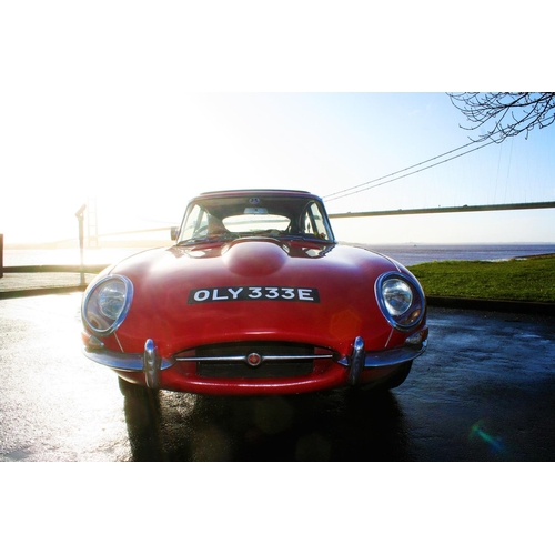 1009 - 1967 Jaguar E Type 2+2 series I, 4235 cc. Registration number OLY 333E. Chassis number 1E 50779. Bod... 