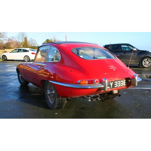 1009 - 1967 Jaguar E Type 2+2 series I, 4235 cc. Registration number OLY 333E. Chassis number 1E 50779. Bod... 