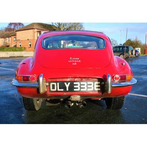 1009 - 1967 Jaguar E Type 2+2 series I, 4235 cc. Registration number OLY 333E. Chassis number 1E 50779. Bod... 