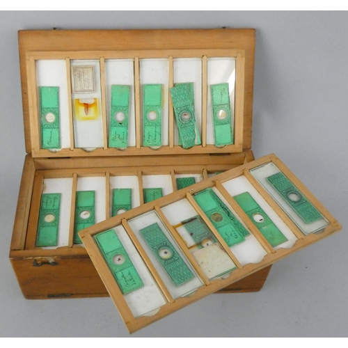 276 - A collection of twelve trays of French microscope slides, contained in a soft wood cabinet, 21 x 11 ... 