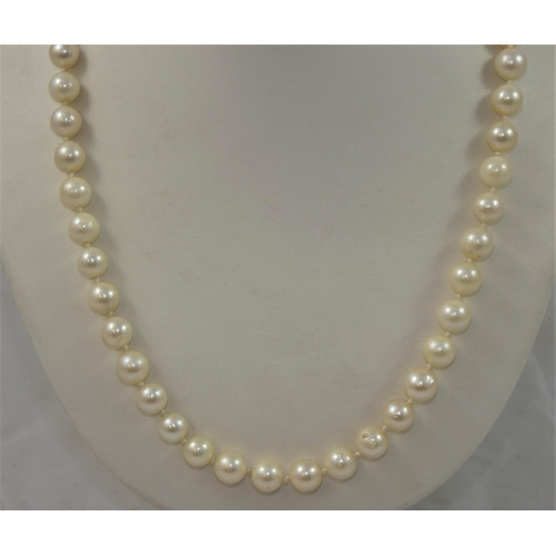 67 - A single row uniform cultured pearl necklace, composed of 80 beads of 7 mm diameter, to a 9ct gold c... 