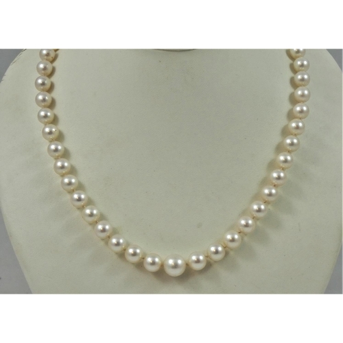 113 - A single row, graduated cultured pearl necklace, composed of 71 beads, from 9 - 6 mm, 52 cm, clasp A... 