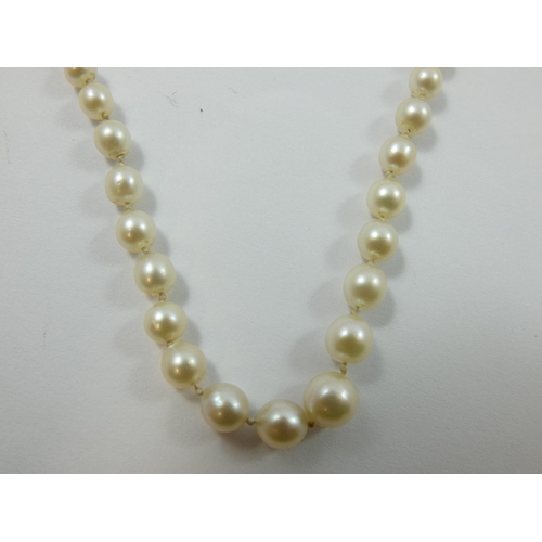 100 - A single row graduated pearl necklace, composed of 90 beads from 7 - 3 mm, length 49 cm.