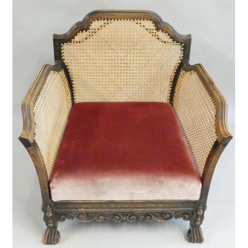 482 - An Edwardian stained beech and cane bergere armchair, with carved base and lift out seat, 79 x 77 x ... 