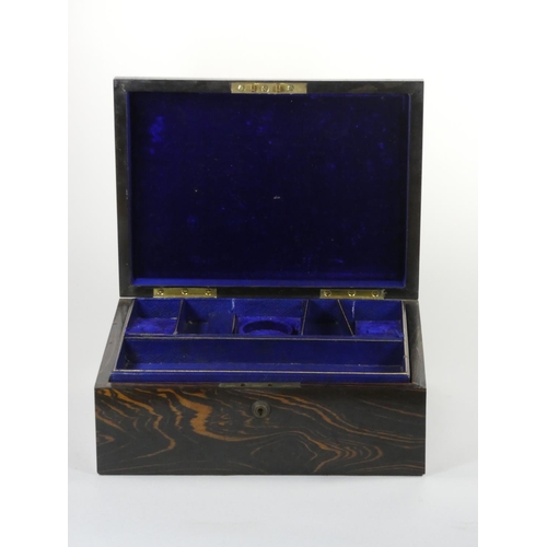 240 - A Victorian coromandel wood and brass jewellery box, opening to reveal two fitted trays, 30 x 22 x 1... 