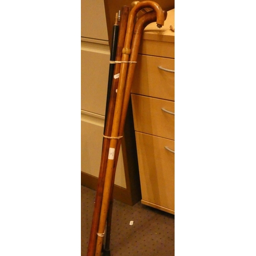 98 - A bone handled walking stick together with a collection of various walking sticks/canes (7)