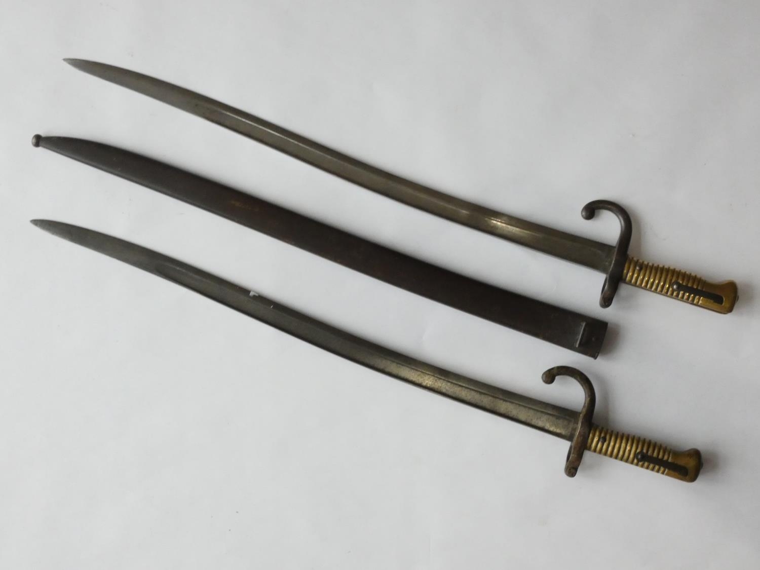 剥製 鳥・39/フランスアンティーク家具・雑貨のSibora【シボラ】