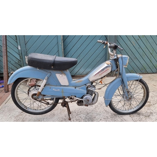Lot 250       