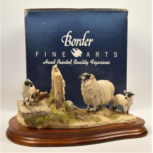 Border Fine Arts, 'Wrong Side of the Fence', JH100 by Anne