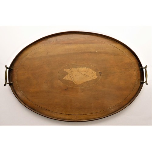 207 - An Edwardian mahogany two handled gallery tray, with boxwood shell centre, 62 x 41cm